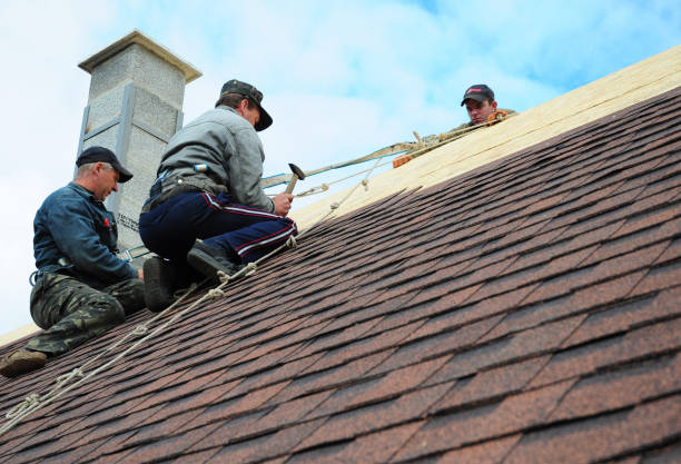 Best Storm Damage Roof Repair  in Kentwood, MI