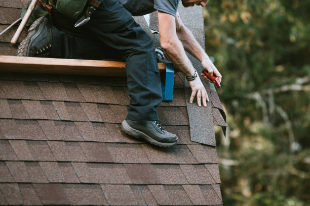 Best Roof Leak Repair  in Kentwood, MI